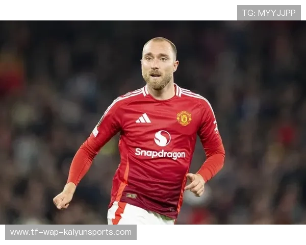 沃尔夫斯堡官方宣布：埃里克森签约两年，自由身加盟，埃里克沃尔夫的书